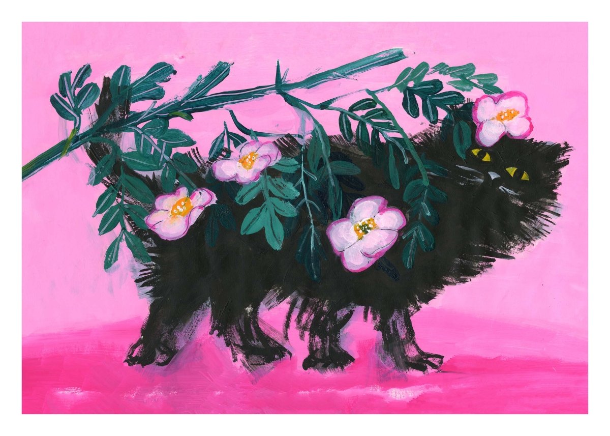 Pimme under the Roses
