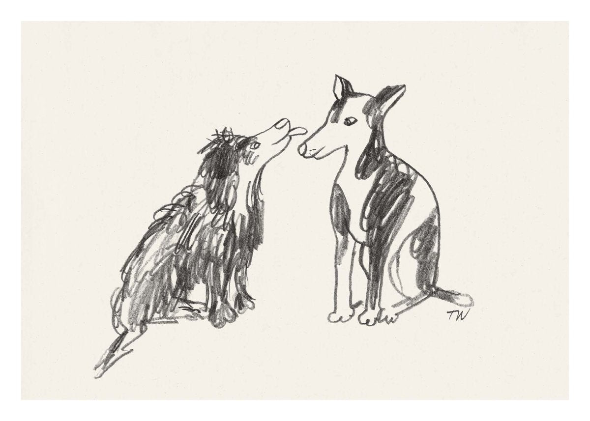 Maestro and Stella