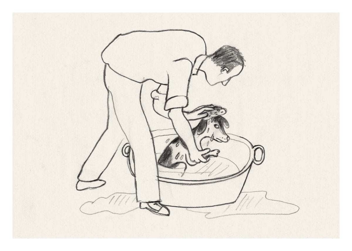 Bath Maestro